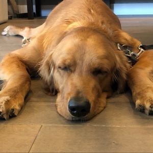 Meet your Posher, Mandy